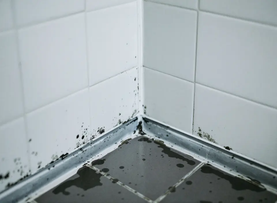 Hoek van een betegelde douche met zwarte schimmelvlekken in de kitrand en enkele voegen